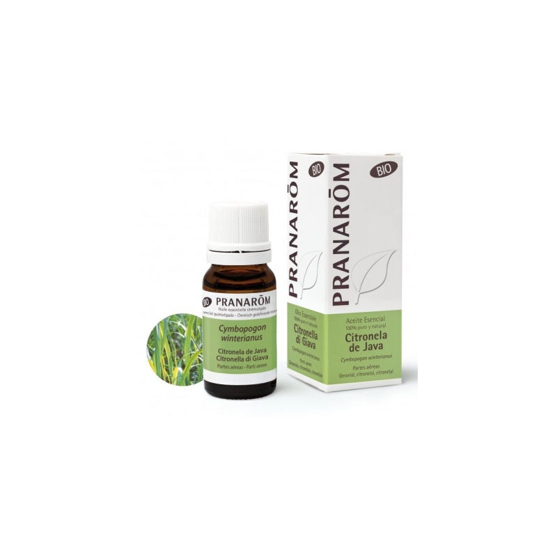 PRANAROM ACEITE ESENCIAL CITRONELA DE JAVA